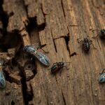 Les insectes xylophages : ces petits dévoreurs de bois qui menacent notre habitat